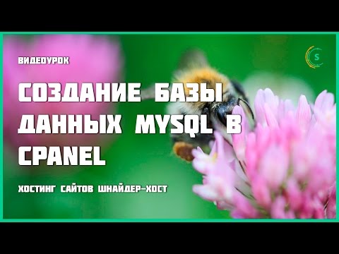 Создание базы данных MySQL в cPanel
