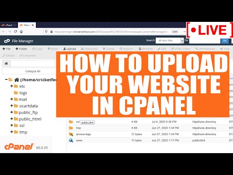 [🔴LIVE] How to upload your website in cPanel?