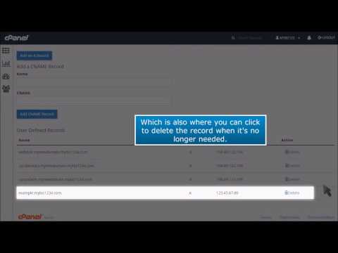 How to Add Record with DNS Zone Editor in cPanel