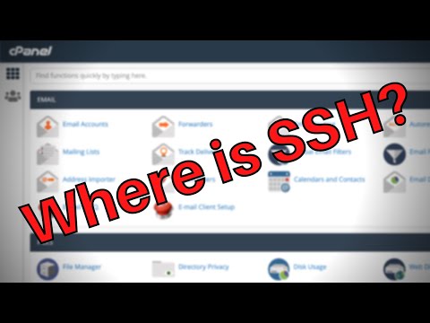 How to Enable Terminal in cPanel for SSH Access