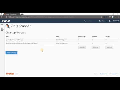 How to run a Virus Scan from cPanel