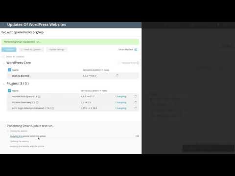 How to Use the WordPress Toolkit Within cPanel to Update Your Website, Part 4