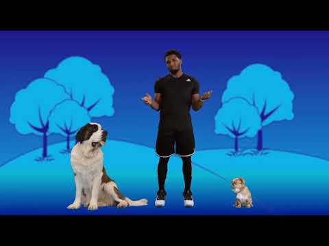 NBA CourtOptix powered by Microsoft Azure | There’s no debate about Donovan Mitchell’s Game