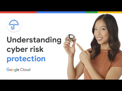 What is the Risk Protection Program?