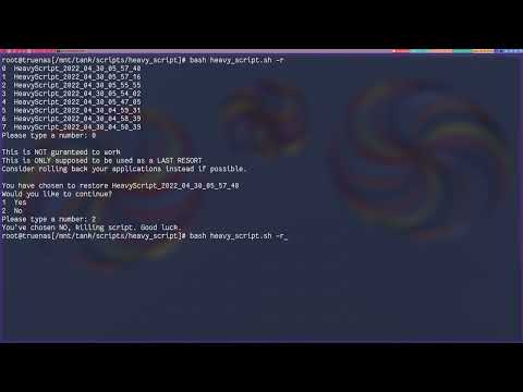 Heavy_Script – Update/Mount/Backup/Restore Truenas SCALE Apps