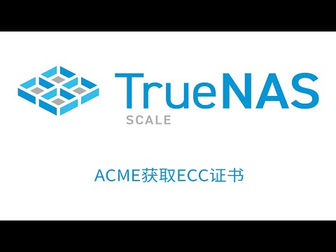 TrueNAS SCALE ACME获取ECC证书并自动续期
