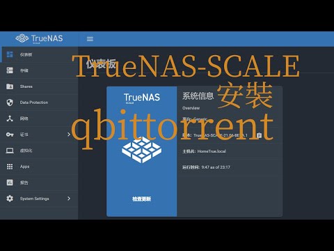 TrueNAS SCALE  [Docker]安裝qbittorrent BT|PT下載工具[新手教程]