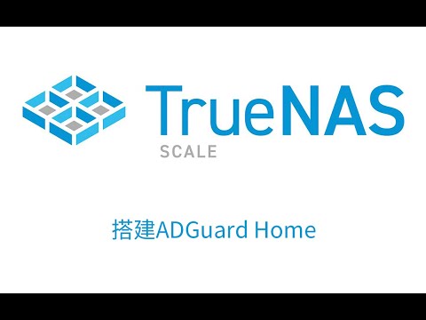 TrueNAS SCALE搭建adguard home设置并固定IP