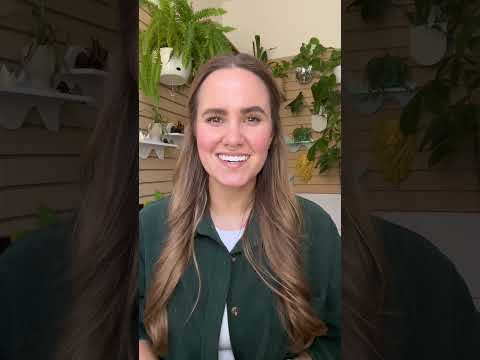 Google IO 23, BigQuery privacy updates, and more