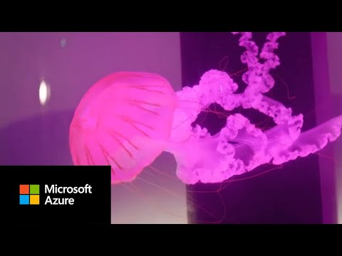 Jellyfish Pictures ramps up VFX rendering while reducing costs by 80%.