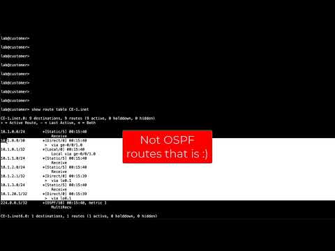 PE-to-CE Protocols – Basic OSPF Configuration
