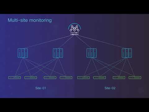 NDFC Programmable Report Generation