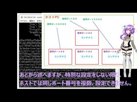 [図解]Dockerコンテナのネットワークの状態を確認します(ubuntu22.04)
