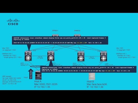 Packet Walk for BUM Traffic Over VXLAN Multicast Replication