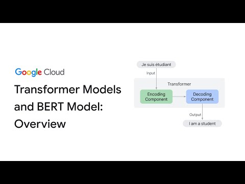 Overview of transformer models and BERT model