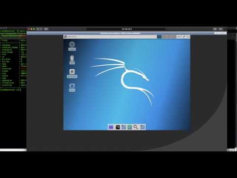 Kali Linux 2019.1 live iso prepared for OpenStack.