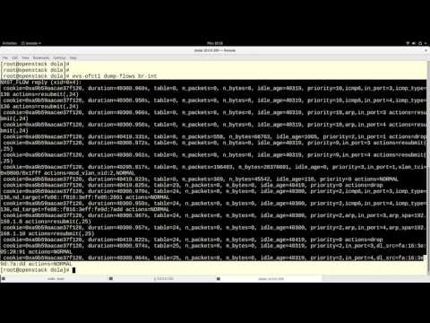 Openvswitch Use in Openstack – Openstack bridges (br-int, br-ex, br-tun)