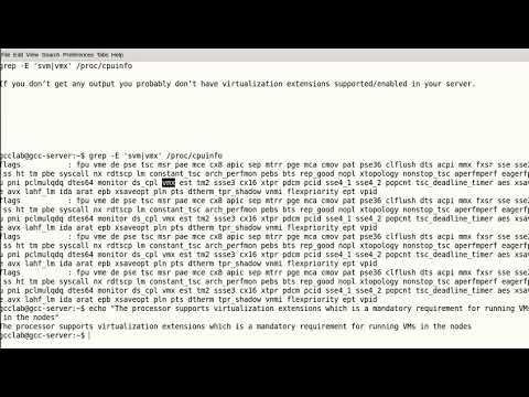1. A Quick Introduction to OpenNebula and Checking for CPU Virtualization Extensions