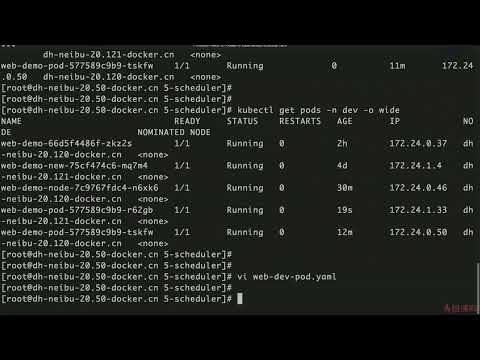 9-3【Kubernetes生产落地全程实践】Scheduler 玩转pod调度（下）