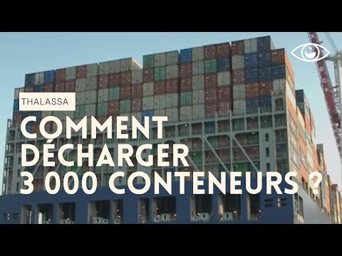 Dans le quotidien d'un docker – Thalassa