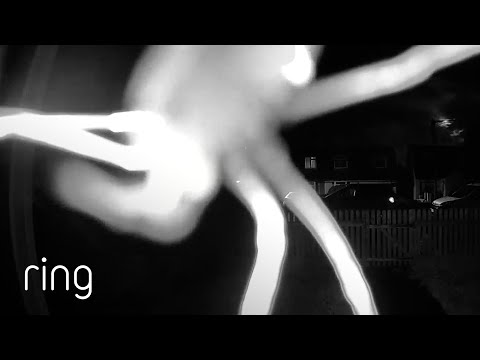 How Would You Deal With This Uninvited “Guest”? | RingTV