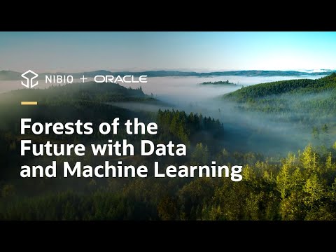 NIBIO improves sustainable forest management with data and AI on OCI