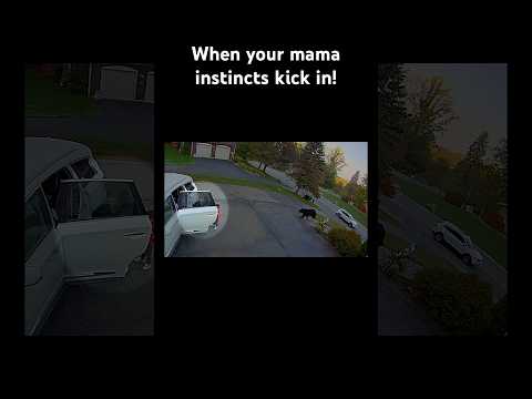 Mom knew exactly what to do during this tense moment with a black bear!