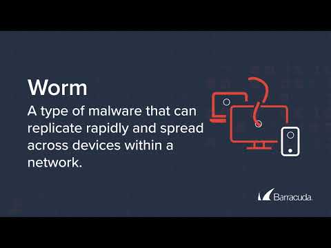 Malware 101: Worm