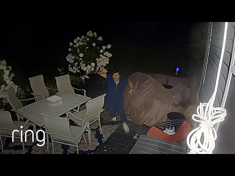 Woman Faces Terror of the Night – A Giant Moth! | RingTV