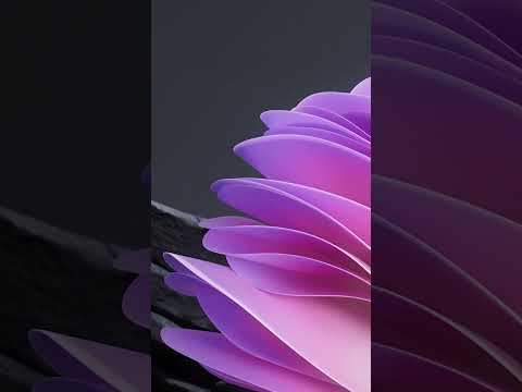 #ShareProArt – Nersik Hajatyan | #Shorts
