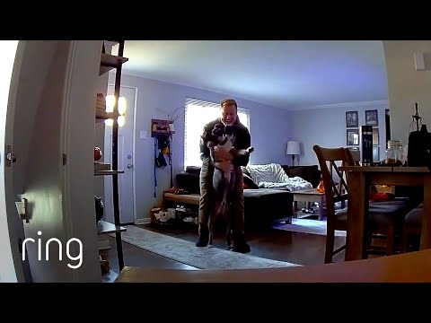 Have You Ever Been This Excited to Greet Your Dog? | RingTV