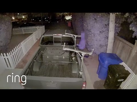All it Took Was the Motion Activated Lights | RingTV