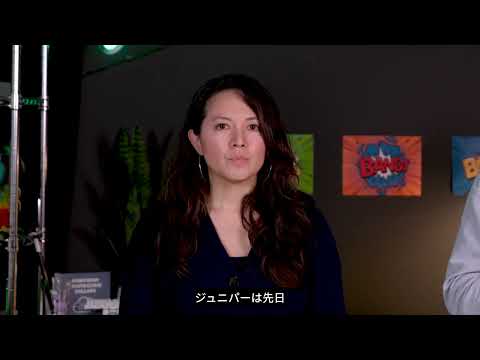 ボブ・フライデーの解説:AIネイティブネットワーキングプラットフォームの定義