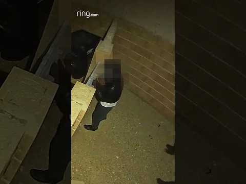 A group of strangers in a backyard is scared off by a Motion Warning!