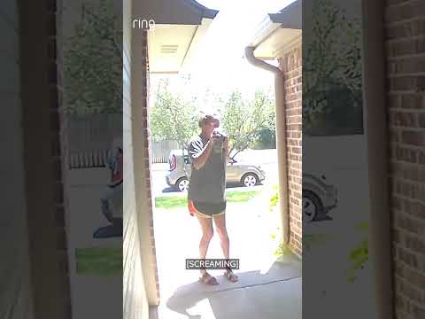 How NOT to get rid of a wasp nest! #wasps #waspnestremoval