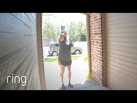 Wasp Chases Woman for Spraying Its Nest | RingTV