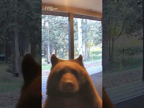 You see this on your porch… How do you react?