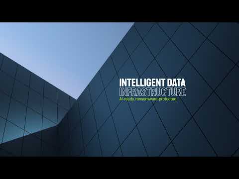 NetApp 2024 Cloud Complexity Report: The AI Divide
