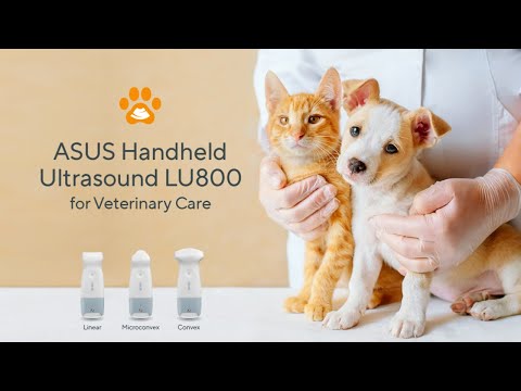 ASUS Handheld Ultrasound LU800 for Veterinary Care – Envisioning the Future of Veterinary Care