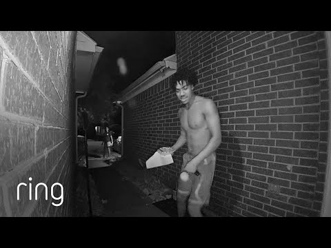 A Cicada Messes With a Couple | RingTV