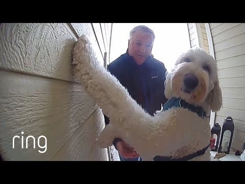 The Moment This Dog Knew it was Mommy Speaking Through Two-Way Talk | RingTV