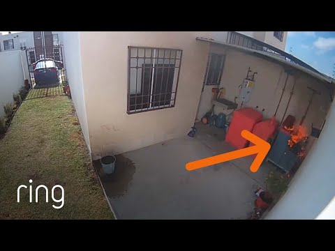 Because of a Ring Notification, They Were Able to Prevent Further Damage to Their Home | RingTV
