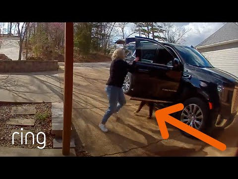 She Doesn’t Own a Dog, But That Didn’t Stop One From Sneaking in Her Car | RingTV
