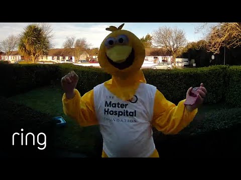 Have You Ever Tried Running in a Costume? | RingTV