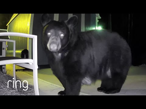 Homeowner Must Now Make Room For New Guests | RingTV