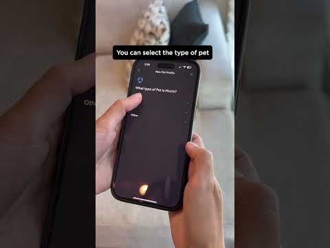 How to set up your Pet Tag Profile
