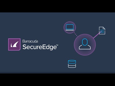 Barracuda SecureEdge | Zero Trust Access