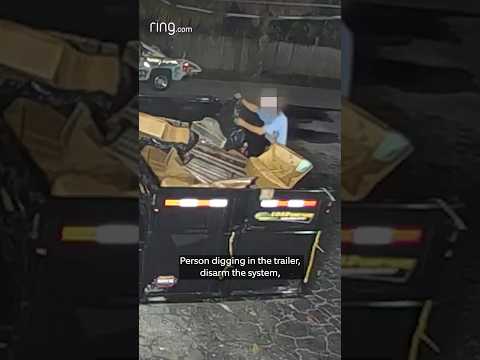 The stranger going through this dumpster didn’t expect this…