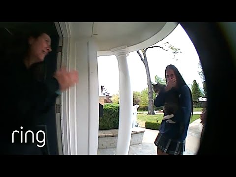 Teenager Heartbroken Over Beloved Missing Cat Gets the Biggest Surprise | RingTV