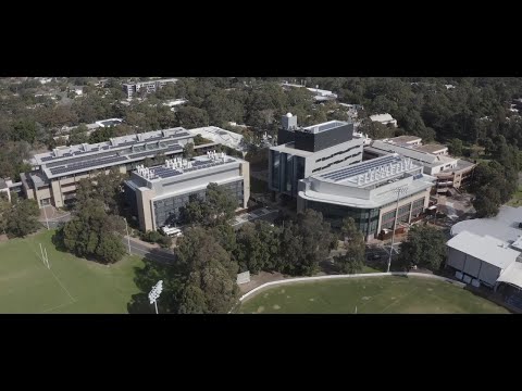 Revolutionizing Education: How the University of Wollongong and Cisco Elevate Hybrid Learning Spaces
